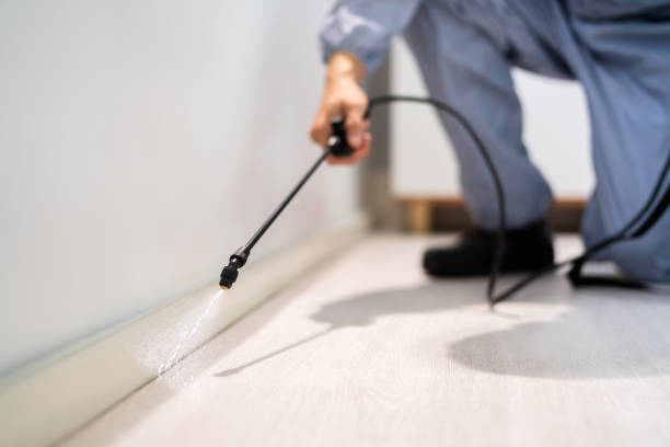 Rodent Entry Point Assessment in West Milton