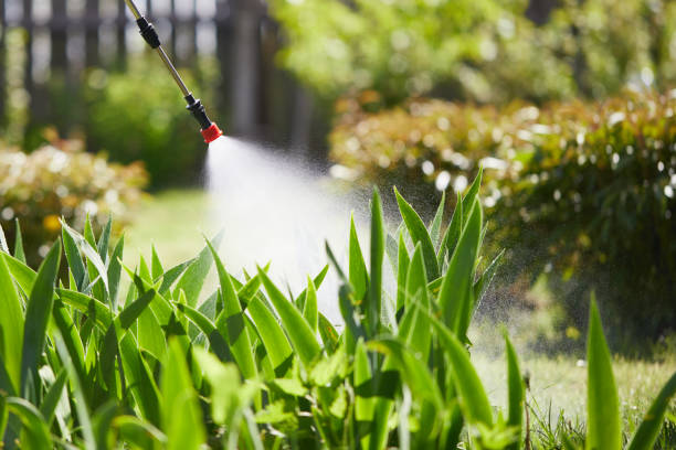Tamper-Resistant Bait Stations for Rodents in West Milton