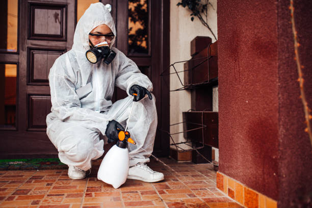 Attic and Crawl Space Rodent Treatment in West Milton